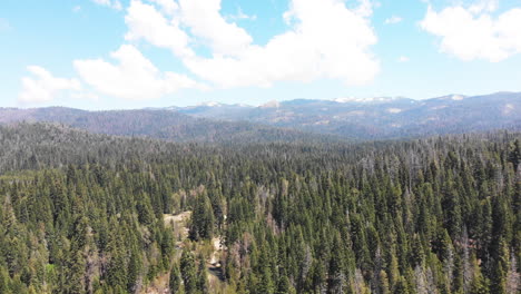 Luftaufnahme-Des-Sierra-National-Forest,-Kalifornien,-Mit-Weißen-Schneebedeckten-Bergen-Im-Hintergrund-Und-Weißen,-Flauschigen-Wolken-Am-Himmel
