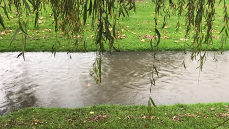 Brown-muddy-rainwater-flowing-along-a-storm-drain-between-green-grassy-banks-under-some-willow-trees-during-the-day