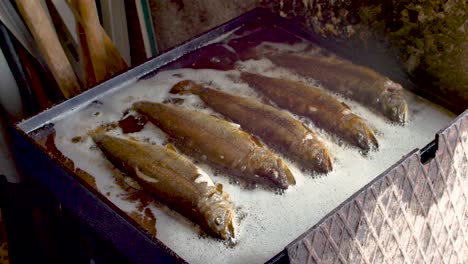 Trout-fishes-fried-in-home-made-griddle-full-of-oil-for-family-picnic