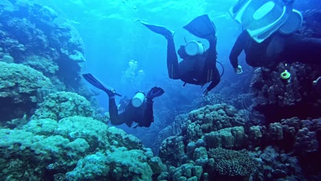 Divers-swimming-at-the-bottom-of-the-sea-seen-from-the-back