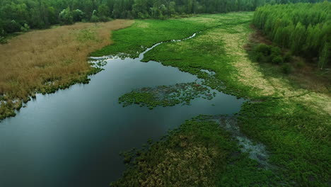View-of-the-marsh-area-from-the-above