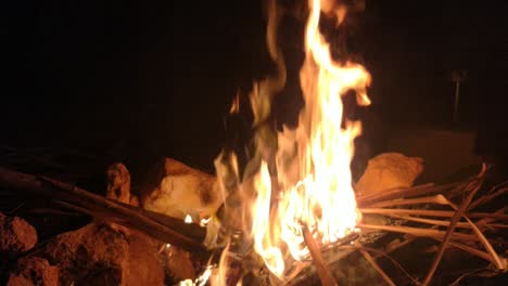Lagerfeuer-Brennende-Bäume-In-Der-Nacht