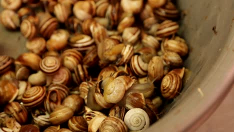 Zoomed-in-view-of-Escargot-snails-alive-and-crawling-in-bowl-at-local-market-in-Valencia-Spain-Europe