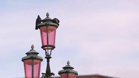 Alter-Straßenbeleuchtungsmast-Mit-Zwei-Hängenden-Taubenvögeln-Mit-Verschwommenem-Blauen-Himmel-Im-Hintergrund