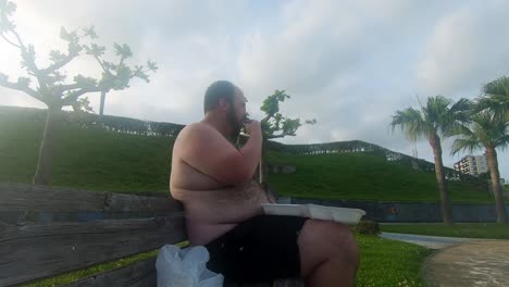 Obese-shirtless-slob-exposes-his-fat,-hairy-stomach-while-eating-salty-chips-on-a-park-bench