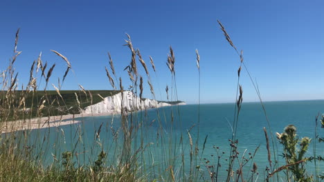 View-of-the-white-cliffs-at-Bishopstone-on-the-south-coast-of-England,-shot-between-through-grass-from-the-edge-of-another-cliff