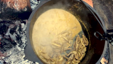 Mann-Zeigt-Curry-Rindfleisch-Und-Reisgericht,-Das-Beim-Camping-In-Einem-Campingofen-Köchelt