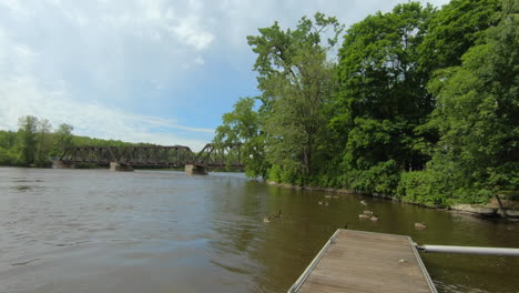 Blick-Auf-Eine-Entengruppe-Im-Wasser,-Am-Flussufer-Im-Naturpark,-Mit-Einer-Brücke-Im-Hintergrund