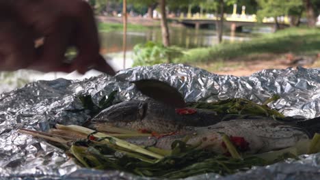 Fish-Cooked-in-Foil-at-the-Side-of-the-River