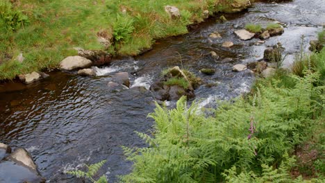 Scenic-views-of-a-river-with-small-waterfalls,-at-Three-Roaches-Head-in-the-Peak-District,-UK