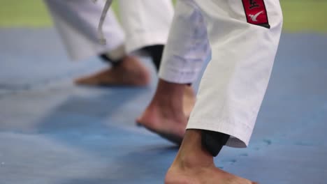 Video-En-Cámara-Lenta-De-Taekwondo-Sparring
