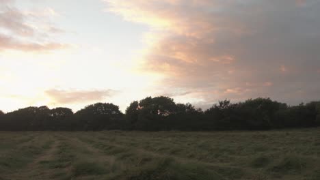 Sommersonnenuntergang-Im-Feld-Mit-Weichen-Wolken