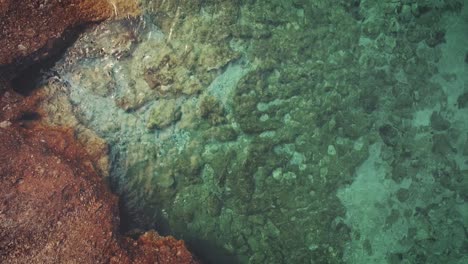 Luftaufnahmen-Eines-Felsigen-Strandes-Mit-Kristallklarem-Türkisfarbenem-Wasser-In-Griechenland-Im-Sommer
