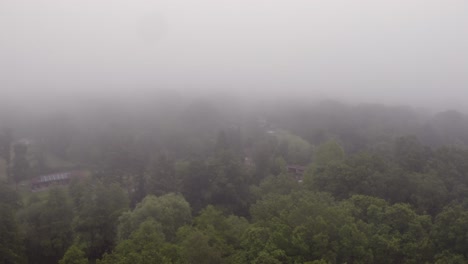 Aerial-drone-shot-above-trees-in-mist