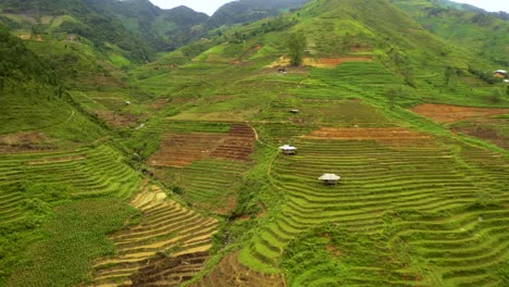 Massive-lush-valley-packed-full-of-rice-terraces-in-northern-Vietnam