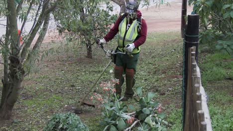 Weed-eating-along-the-road-verge-in-a-small-town-in-South-Africa