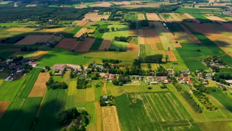 Aerial-view-of-a-small-village-in-summer-day