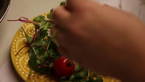 The-chef-puts-together-a-fresh-garden-salad-plate-with-mozzarella-cheese-and-tomatoes---isolated-slow-motion
