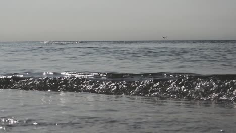 Calm-waves-rolling-into-shore,-sparkling-water-in-sunny-day,-slow-motion