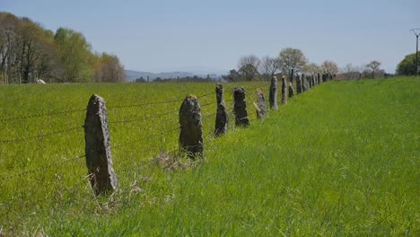 stone-fence-with-barb-wire-in-a-green-grass-field,-grassy-meadow