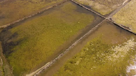 4K-aerial-view-of-a-section-of-a-salt-farm-in-Aveiro-with-the-drone-moving-forward,-60fps