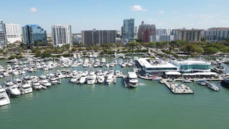 aerial-of-the-entire-Sarasota-Marina-in-its-full-glory