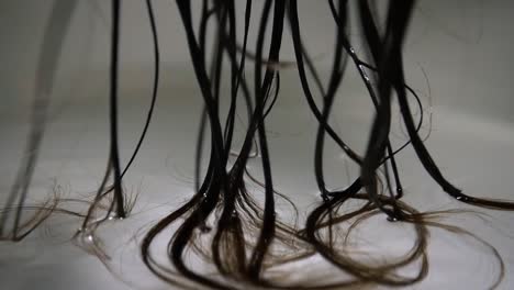 Detail-of-long-brown-hair-in-transparent-clean-water-with-white-background