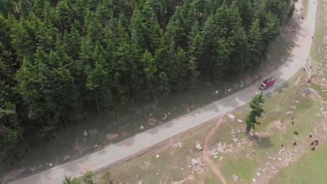 Aerial-View-Of-Truck-On-Road-Near-Trees-At-UHSU-Forest