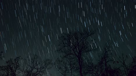 Star-trail-Time-lapse-4k-footage-of-the-stars-behind-a-lone-tree-in-the-night-sky