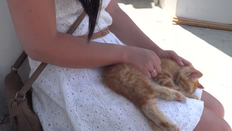Female-in-white-dress-petting-orange-kitten-on-lap,-sitting-on-stone-wall