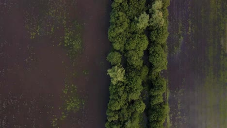 4K-aerial-view-of-the-lagoon-system-of-pateira-de-frossos-in-albergaria-a-velha,-drone-flying-over-a-patch-of-vegetation-that-divides-the-flooded-fields,-60fps