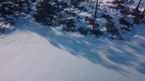 Aufschlussreiche-Luftaufnahme-Einer-Verschneiten-Moorlandschaft-Mit-Zugefrorenen-Seen-An-Sonnigen-Wintertagen,-Dunika-Torfmoor,-Weitwinkel-Drohnenaufnahme-In-Bewegung,-Kamera-Nach-Oben-Geneigt