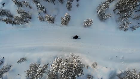 Man-Sledding-In-The-Winter-Forest-In-Lapland,-Finland---aerial,-top-down