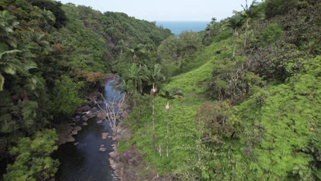 Aerial-forward-dolly-shot-tracking-jungle-river-towards-Pacific-Ocean