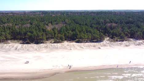 People-on-sandy-coastline-with-conifer-forest-behind-near-Baltic-sea-coastline