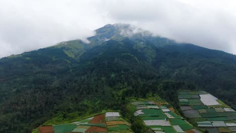 Monte-Sumbing-Pico-En-Nubes-Y-Campos-En-Terrazas-En-Indonesia-Vista-Aérea