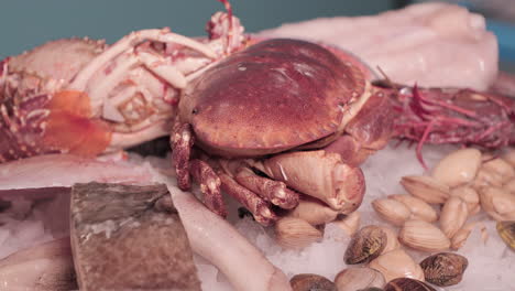 Auf-Dem-Eis-Werden-Lebende-Krabben,-Muscheln-Und-Fischstücke-Ausgestellt