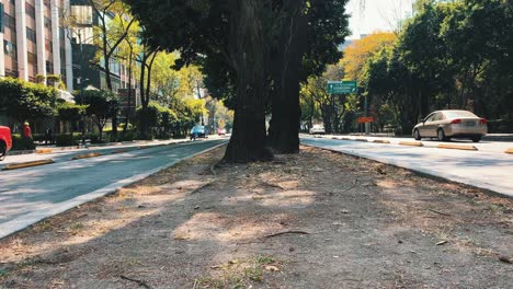 Timelapse-in-the-longest-avenue-in-Mexico-city,-Insurgentes