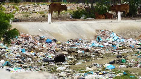 Verheerender-Müll-Bedeckt-Die-Landschaft-Von-Son-Hai-In-Der-Nähe-Von-Phan-Rang-Vietnam