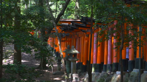 Vista-Mirando-Hacia-Afuera-En-La-Línea-De-Puertas-Torii-Rojas-En-Fushimi-Inari-Taisha