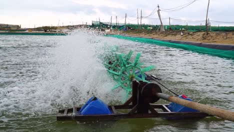 Spinnturbinen-Zur-Wasseraufbereitung-In-Einer-Aquakultur-Garnelenfarm-In-Vietnam