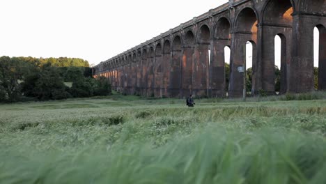 Sliding-shot,-photographer-walking-trough-a-wheat-field-at-Ouse-Valley-Viaduct