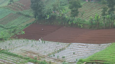 people-are-farming-in-the-mountain-valley