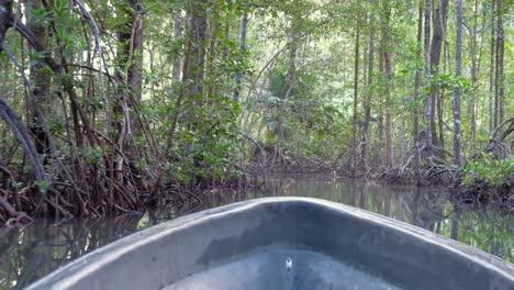 Ein-Kleines-Boot,-Das-Durch-Einen-Schmalen-Kanal-Aus-Mangroven-Und-Bäumen-Auf-Den-Salomonen-Fährt