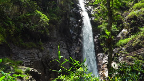 Close-up-of-Ta-Gu-waterfall-in-its-luxuriant-forest-landscape