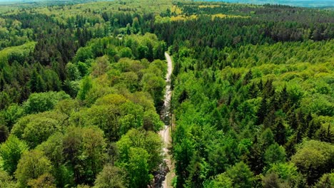 drone-aerial-flight-over-lush-green-summer-forest-and-highway-landscape