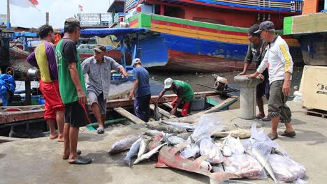 Fischer-Laden-Ihren-Fang-An-Frischem-Fisch-Aus-Dem-Lager-Des-Traditionellen-Bootes-Auf-Einen-Fischerwagen,-Pekalongan,-Indonesien,-29.-März-2021