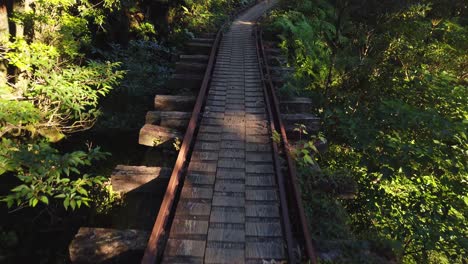 Hiking-along-logging-rail-on-Yakushima-Island,-Early-morning-in-Japan
