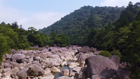 Rocky-valley-and-Stream-through-Yakushima-Island,-Japan