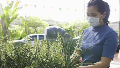Masked-pony-tailed-adult-Asian-woman-in-a-steel-blue-turtleneck-gently-hold-one-of-the-potted-plants-up-and-look-at-it-closely,-with-a-white-pickup-truck-and-many-other-trees-as-a-background